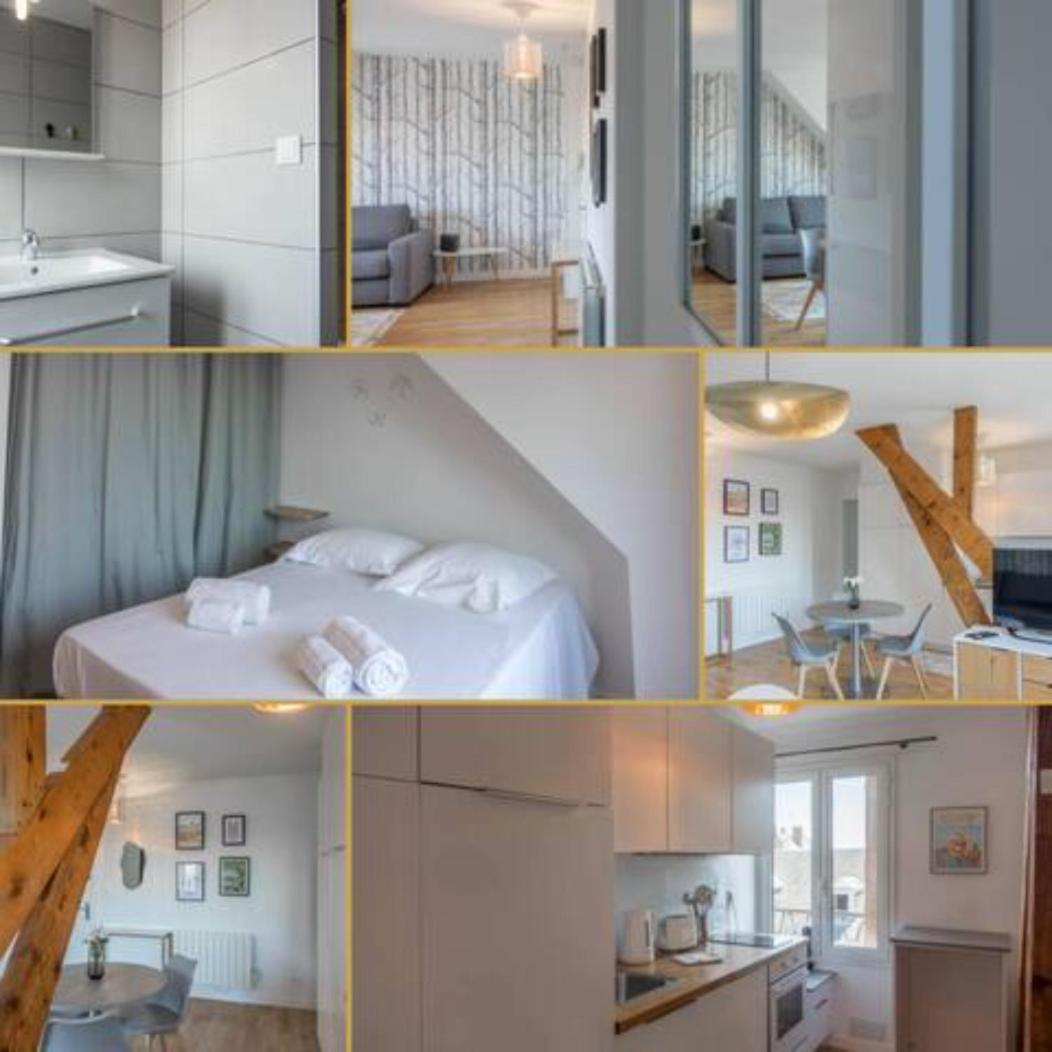Le Vieux Marche *T2* Apartment Orléans Exterior foto